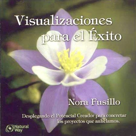 visualizaciones